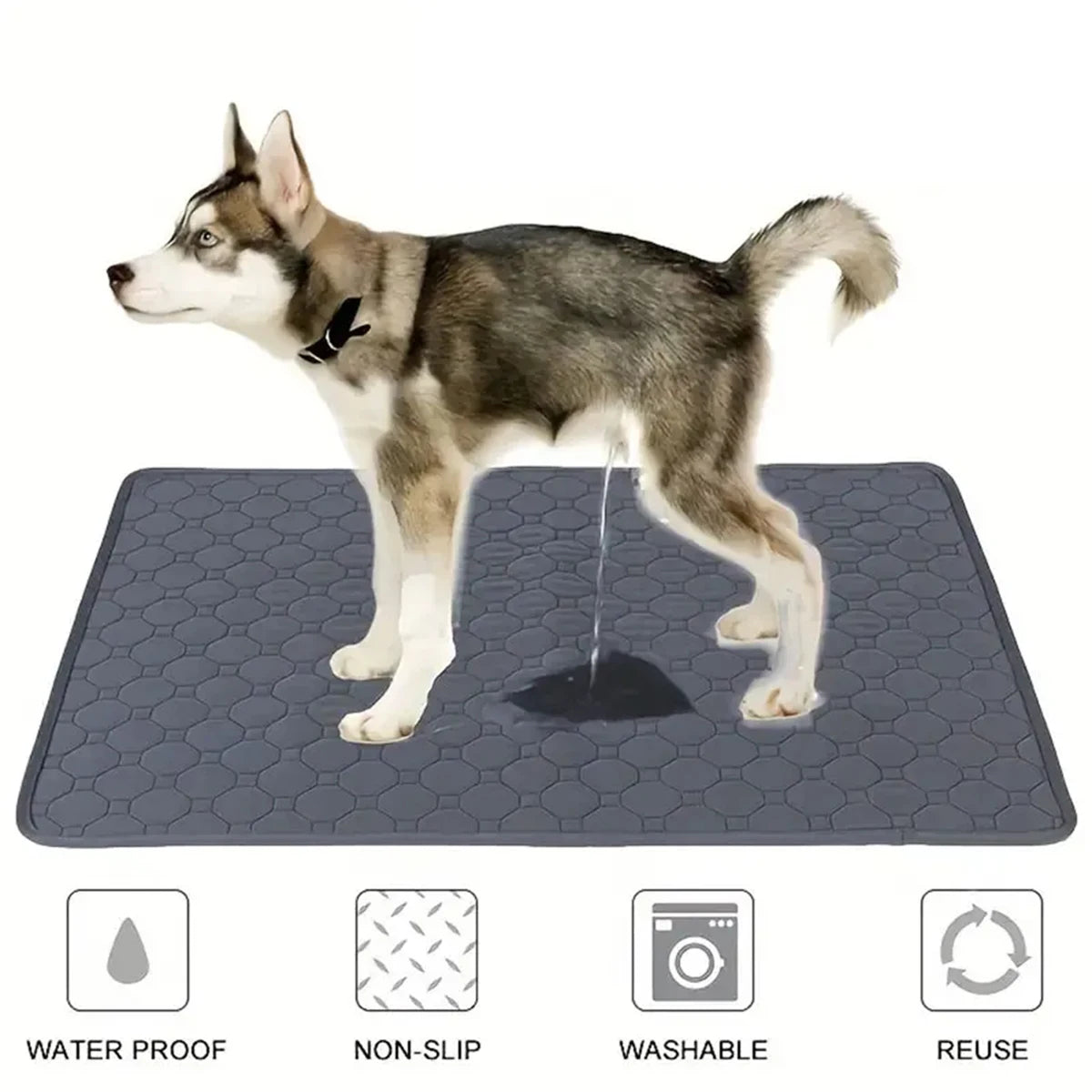 Reusable Washable Pet Pee Pad – Waterproof Absorbent Training Mat