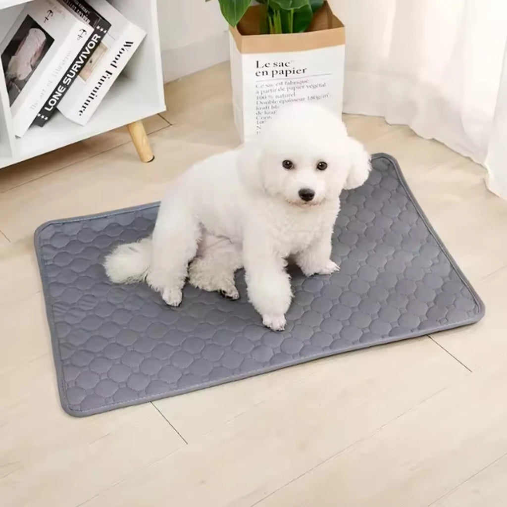Reusable Washable Pet Pee Pad – Waterproof Absorbent Training Mat